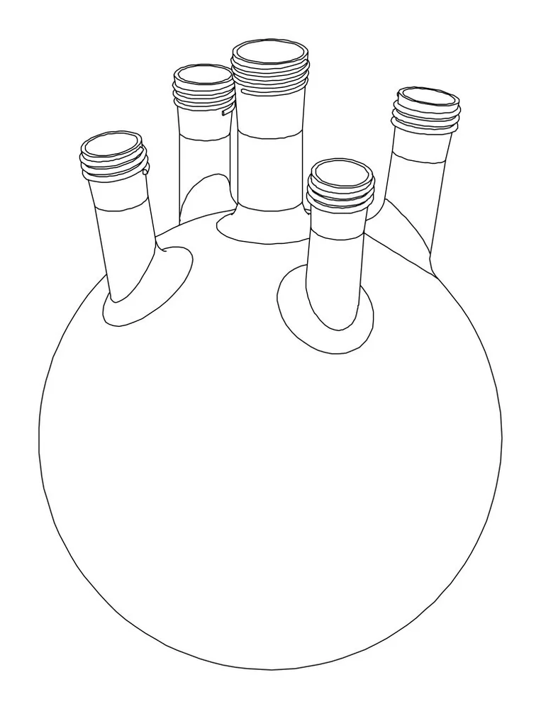 Borosil 5 Neck Round Bottom Flask – Borosil