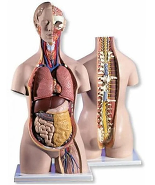 biology equipments – Polylab