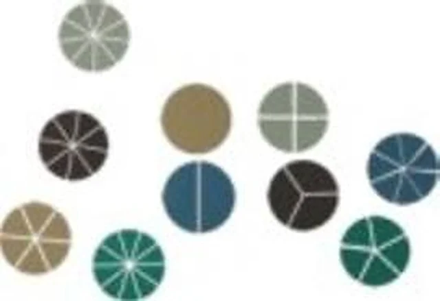 Fraction Wheel – Polylab