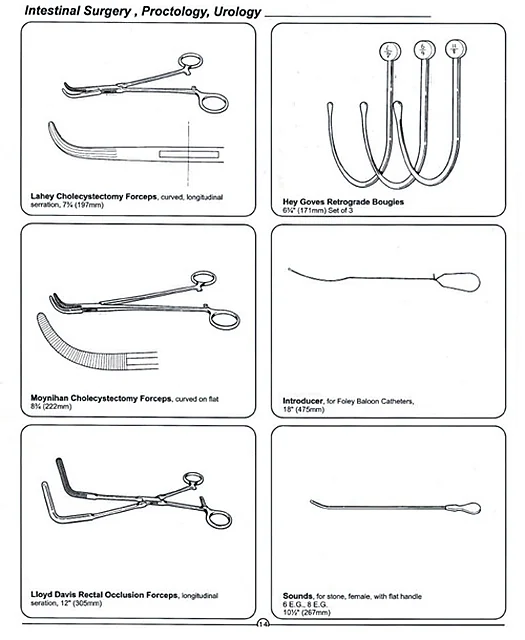 Intestinal Surgery, Proctology, Urology – Polylab