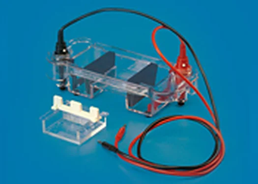 Mini Submarine Electrophoresis Unit – Polylab