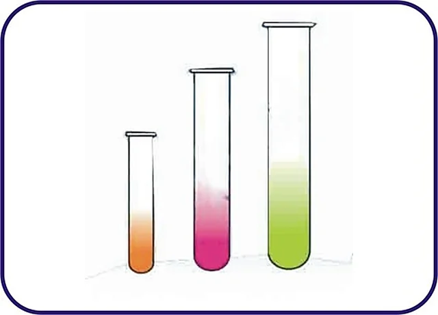 Test Tube With/Without RIM Neutral Glass – Polylab
