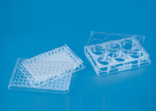 Tissue Culture Plate Sterile – Polylab