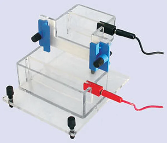 Vertical Electrophoresis System - Mini – Polylab